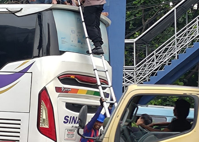 Gagal Bunuh Diri Dari JPO, Pria Asal Kalideres Jakarta Barat Jatuh di Atas Bus