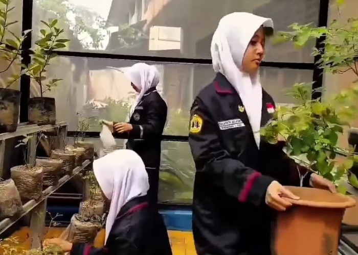 SMPN 1 Tigaraksa Sudah Punya Greenhouse, Digunakan untuk Pembibitan dan Pengembangan Pohon