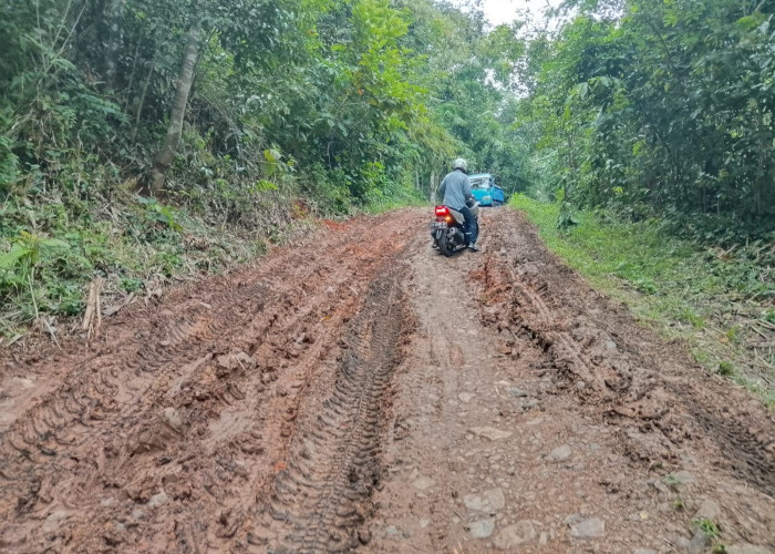 Tak Mampu Bangun Jalan Poros Desa Rusak, Pemdes Berharap Program Bang Andra Jadi Solusi