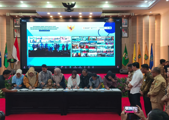 Realisasi KUR Capai Rp6,9 Triliun