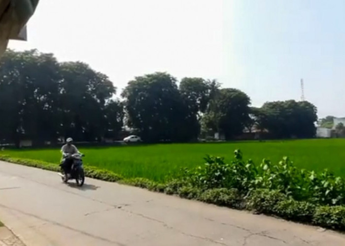 Kopdes Merah Putih Akan Buka Kios Pupuk