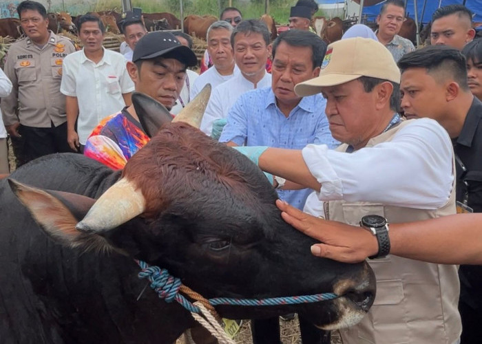 Bupati Jamin Pastikan Kesehatan Hewan Kurban 