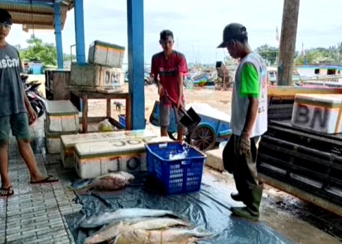 Retribusi TPI di Lebak Capai Rp 1,4 M Setahun Terbesar Se-Banten