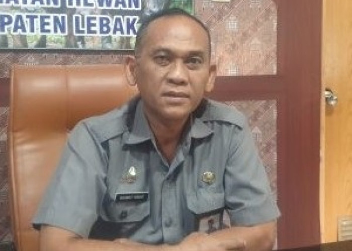 Delapan Hektare Sawah Gagal Panen