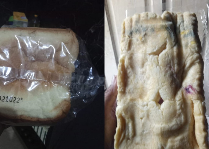 Roti MBG Diduga Kedaluwarsa dan Berjamur, BGN Klaim Langsung Diganti