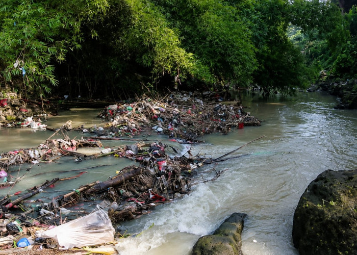 Pemkot Serang Godok Perwal Sanksi Buang Sampah