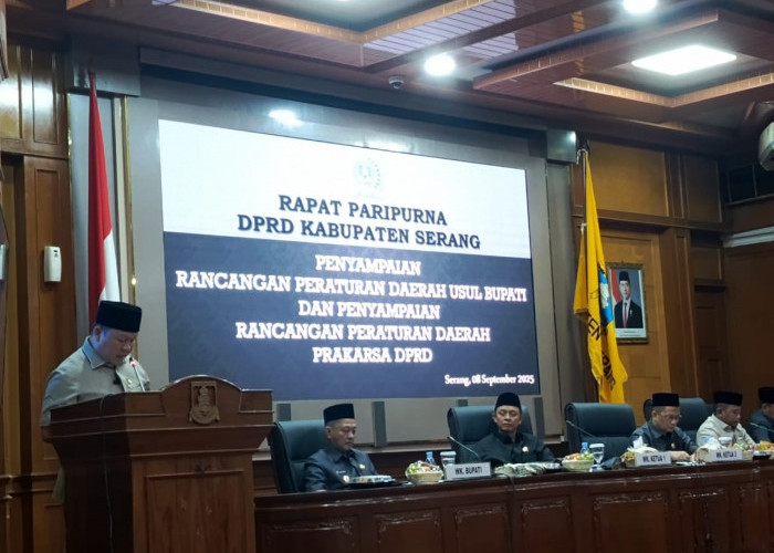 Disabilitas Bakal Dilindungi dan Dipenuhi Hak-haknya