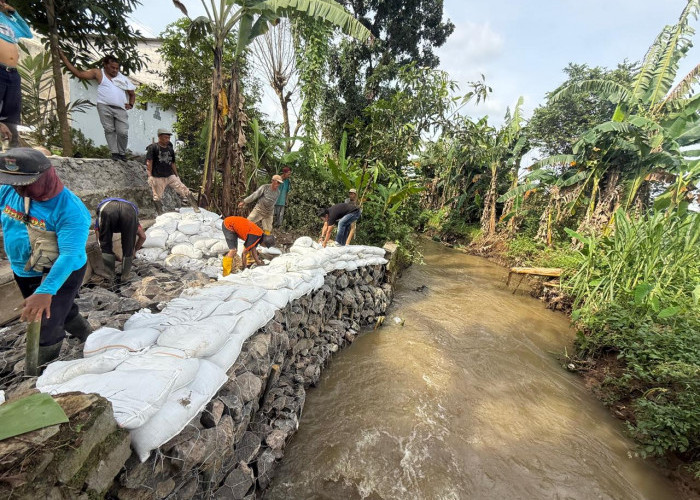 Turap Roboh di Tepi Kali Cirarab, DBMSDA: Penanganan Darurat Pasang Brojong