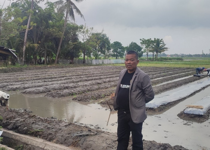 Obo Muda Berinovasi, Pelopori Mina Horti Hijaukan Desa Kayu Bongkok