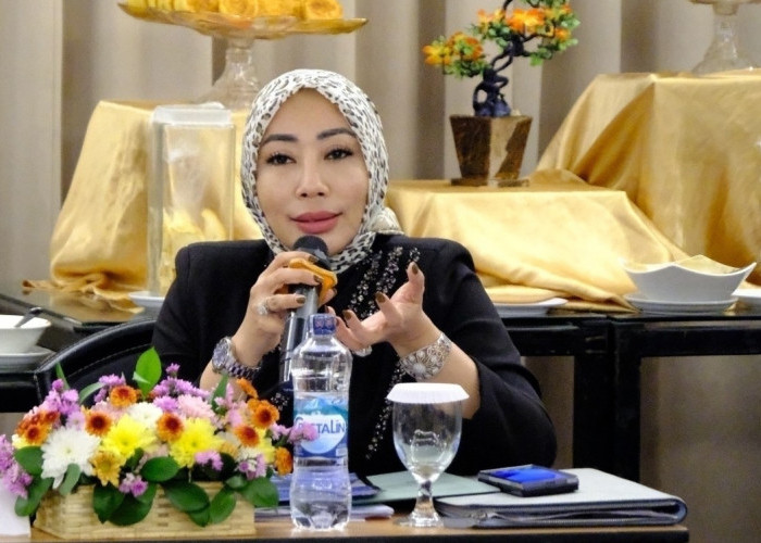 Dorong Investasi di Kabupaten Tangerang, Sri Panggung Usulkan Penataan Kawasan Industri