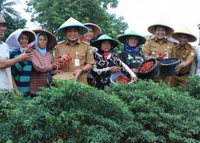 Pj Wali Kota Tangerang Sebut Kenaikan Barang Komoditi Masih Batas Wajar