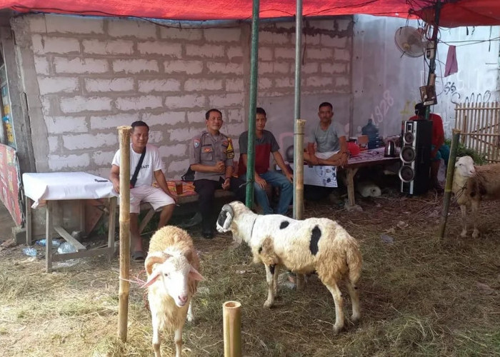 Mulai Marak Pedagang Hewan Kurban di Pagedangan, Diingatkan Jaga Kebersihan dan Kesehatan Lingkungan