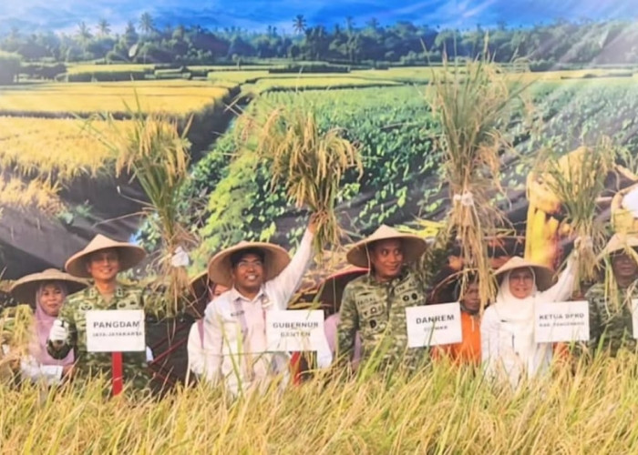 Ribuan Hektare Sawah Mengering dan Terancam Puso