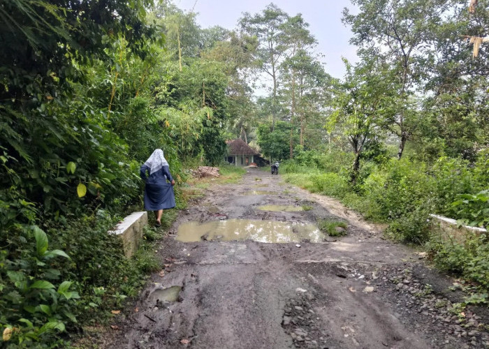 Warga Protes Jalan Rusak Tak Kunjung Diperbaiki