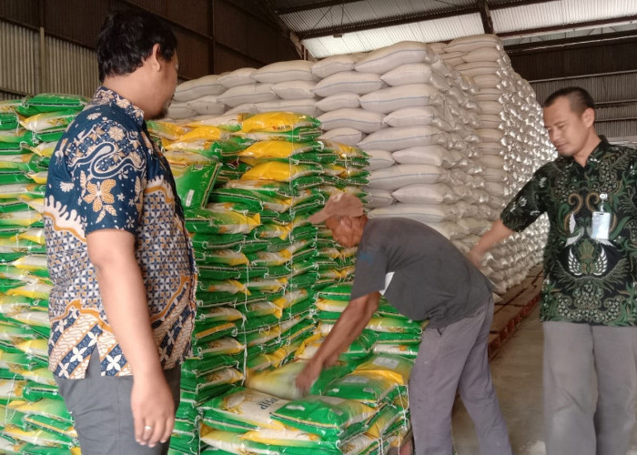 Marak Oplosan, Bulog Sarankan Beli Beras SPHP