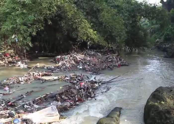 Perusahaan dan Perorangan Buang Sampah Sembarangan Didenda Rp5-50 Juta