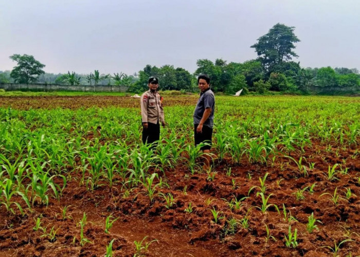 Polsek Panongan Dukung Program Ketahanan Pangan 