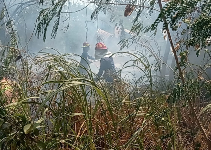 Belum Sebulan, Terjadi 31 Kebakaran
