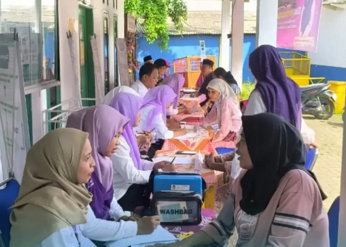 Transformasi Posyandu, Penerapan 6 SPM, Jadi Lengkap dan Mudah Diakses