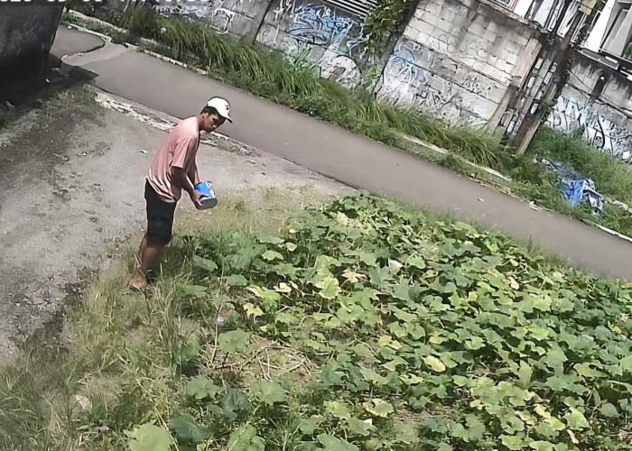 Maling Pedagang Sayur Kecele, Isi Kotak Cuma Recehan