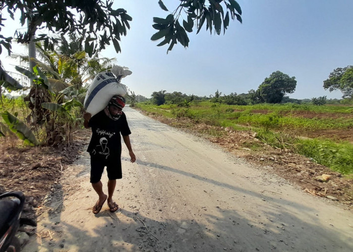 Rusak Akibat Proyek Normalisasi, Akhirnya Sebagian Jalan Kampung Gabusan Desa Ranca Labuh Diperbaiki