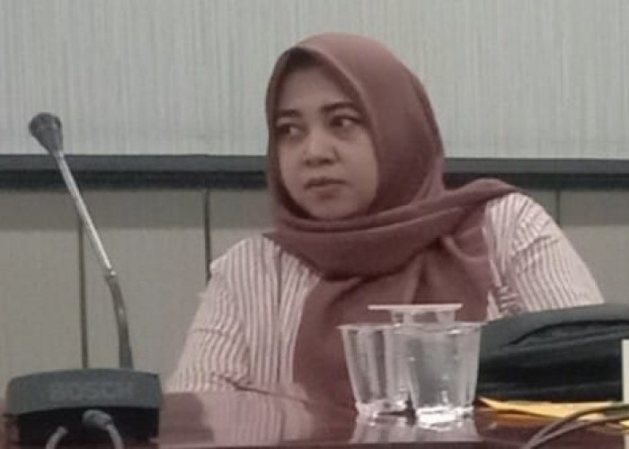 Dewan Kecam Dugaan Penyerobotan Lahan di Pinang