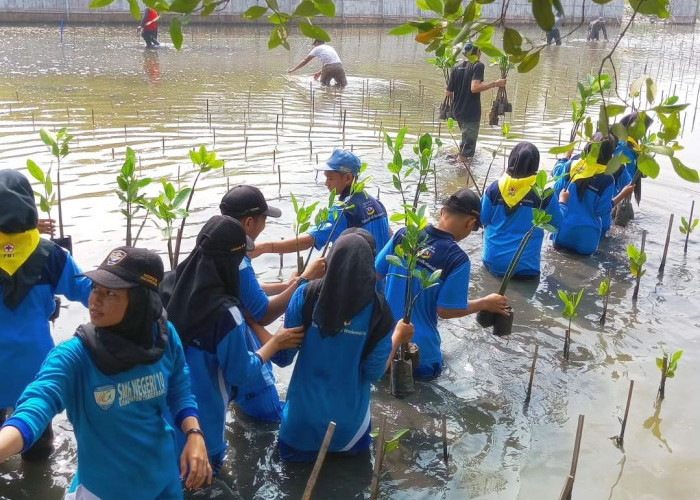 Siswa SMKN 10 Kabupaten Tangerang Tanam 1.500 Tanaman Mangrove 