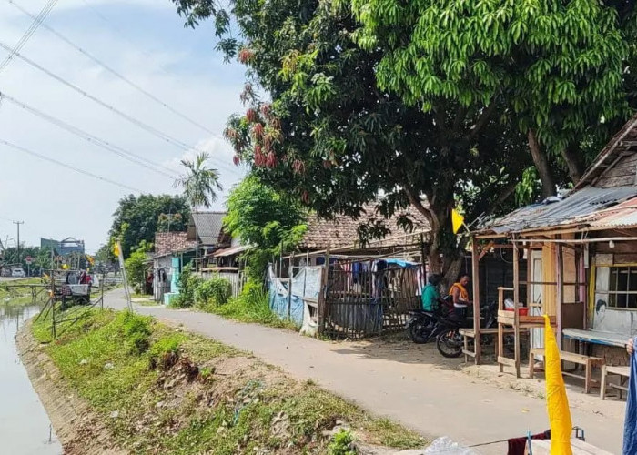 Mulai Besok, 244 Rumah di Bantaran Sungai Cibanten Dibongkar Demi Normalisasi Sungai