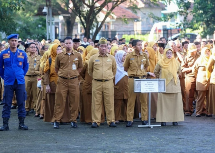 BKD Klaim WFH Perdana Berjalan Lancar
