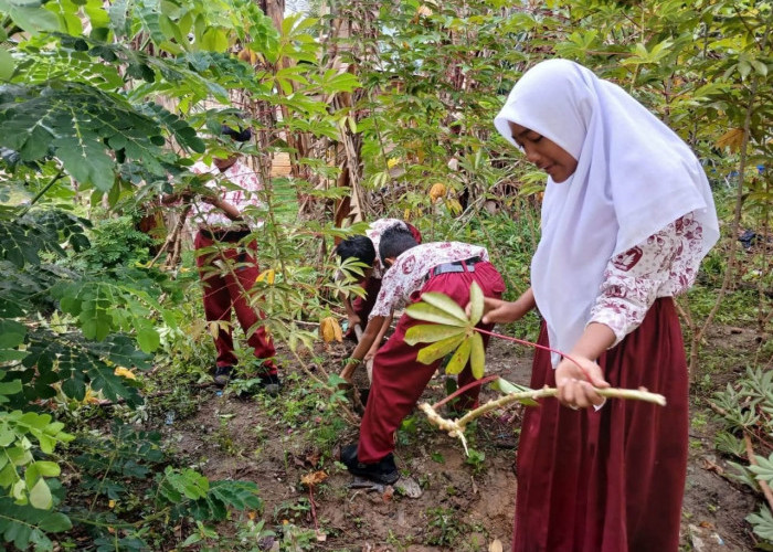Melihat Konsep Pembelajaran Kontekstual SDN Jatake 5 Kota Tangerang, Belajar dari Tanah, Siswa Diajak Berkebun