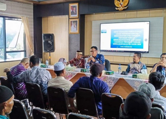 Lahan Pertanian Tersisa 200 Hektar