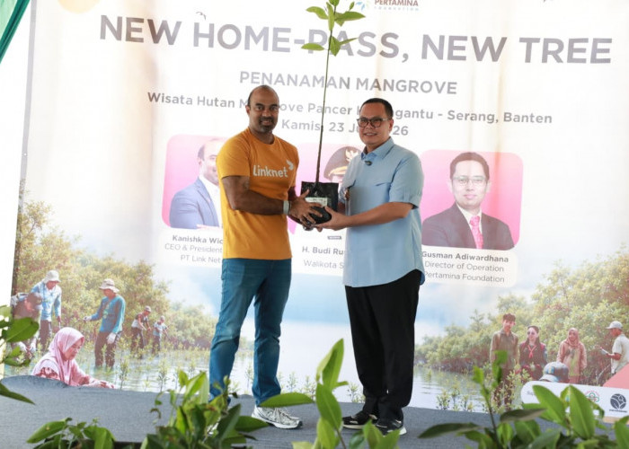 5.000 Mangrove Ditanam di Pesisir Karangantu