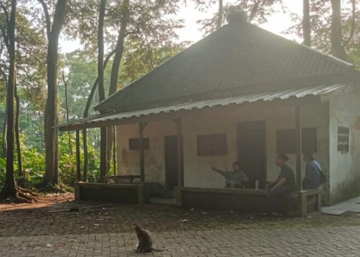 Di Antara Doa dan Sunyi Hutan Solear, Makam Kramat yang Ramai Diziarahi Namun Terlupakan