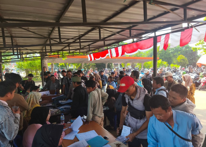 Program Pemutihan Dinilai Jauh dari Target