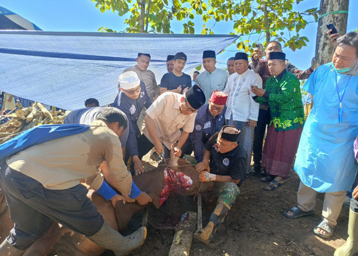 Prabowo Berkurban Pakai APBN Dihujat Netizen, Tak Masalah Selama untuk Kepentingan Masyarakat