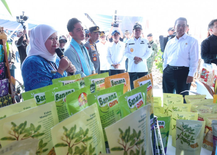 Wapres Gibran Tanam Jagung 50 Hektar di Tigaraksa 