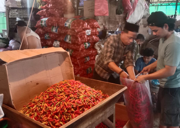Dampak Banjir, Cabai Tembus Rp65 Ribu/Kg
