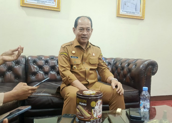 Pemkab Serang akan Kaji Pengibaran Bendera One Piece
