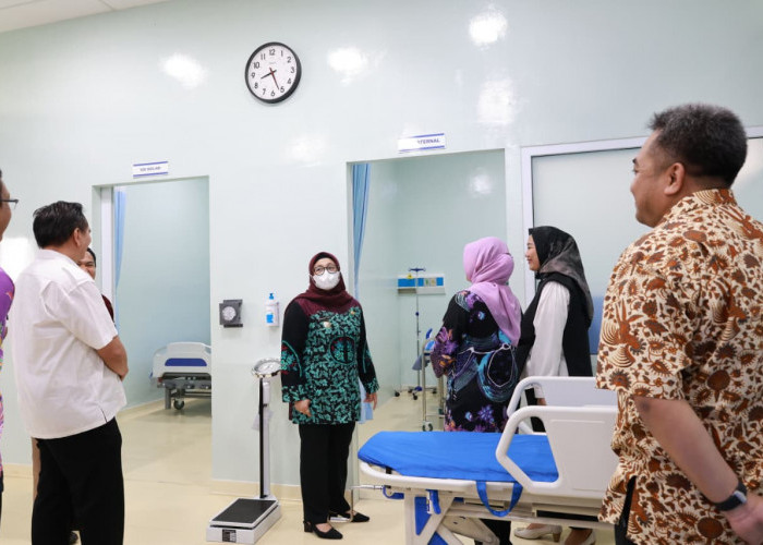 Intan Dorong RS Insan Nusantara Layani Pasien BPJS