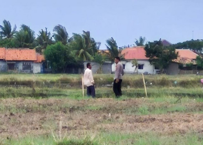 Kapolsek Kronjo Cek Lahan Pertanian PAT di Desa Jenggot