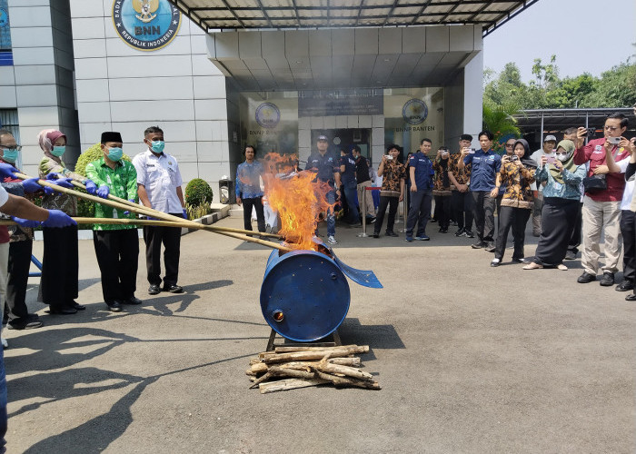 Paket Ganja Medan Gagal Edar