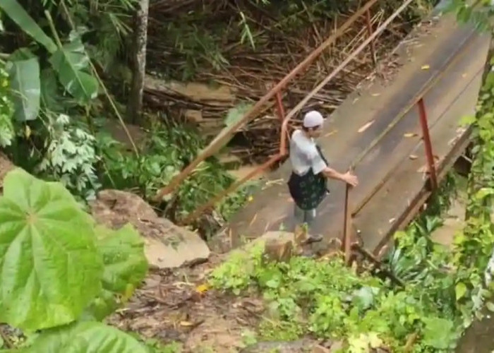 Jembatan Roboh, Aktivitas Lumpuh