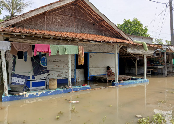 Empat Hari Diguyur Hujan, Lima Kampung Terendam Banjir