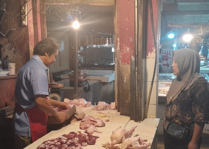Harga Telur dan Ayam Potong Naik