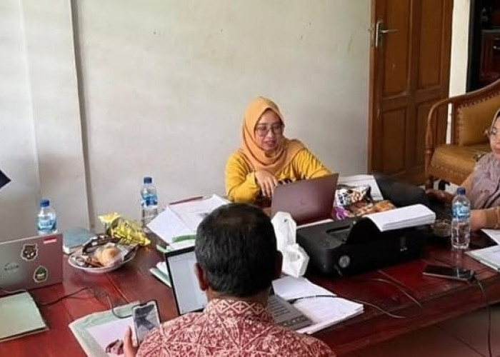 Inspektorat Periksa Pengelolaan Keuangan Desa