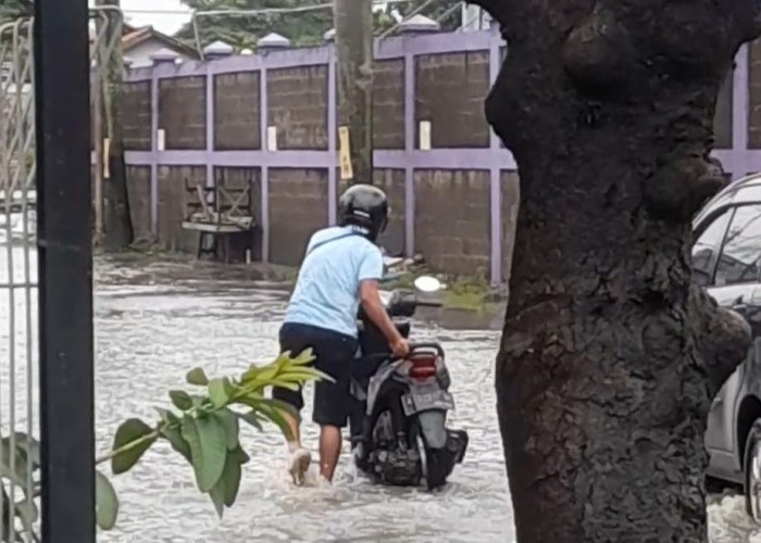 Pendapatan Pedagang Anjlok Akibat Banjir