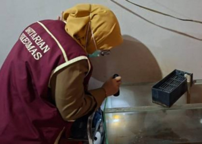 Pasca-Banjir, Warga Diminta Waspada DBD 