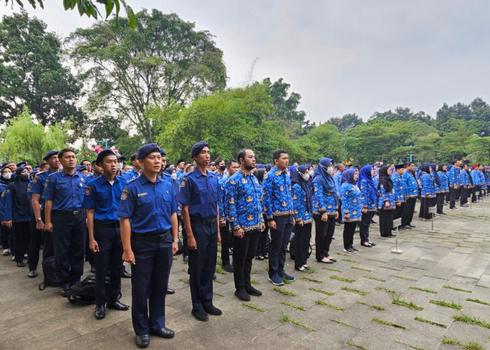 Tes PPPK Tangsel Gelombang 2 Tunggu Jadwal BKN