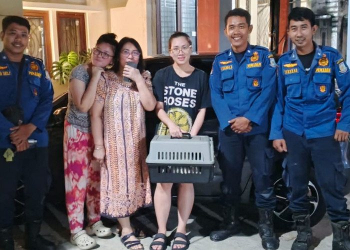 Evakuasi Kucing Hingga Ambilkan Balon