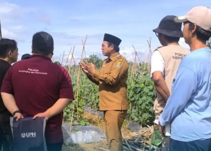 Desa Sodong Kembangkan Eduwisata Pertanian, Jadi Tempat Belajar Mahasiswa dan Pelajar
